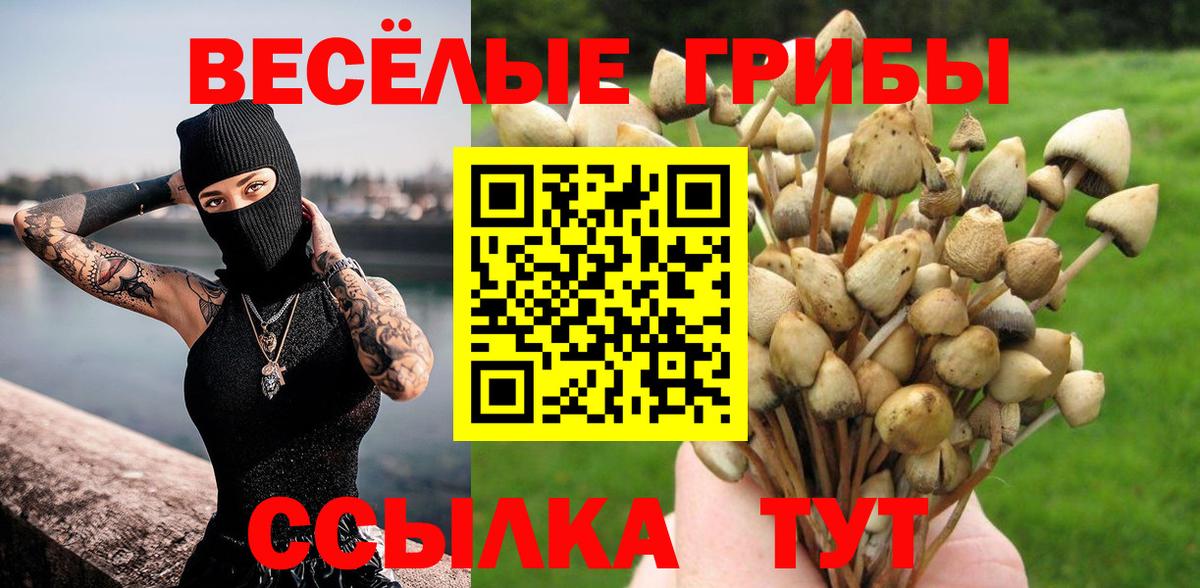 Галлюциногенные грибы мицелий Карпинск