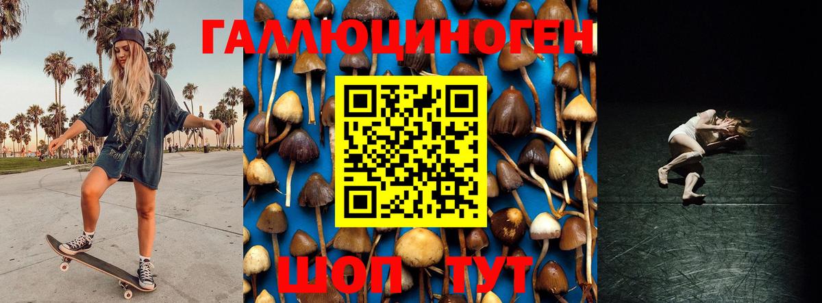 Карпинск  Галлюциногенные грибы прущие грибы  Галлюциногенные грибы мухоморы  Вход с VPN 